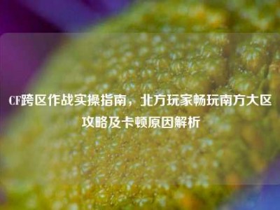 CF跨区作战实操指南，北方玩家畅玩南方大区攻略及卡顿原因解析