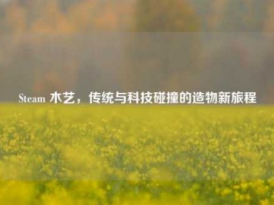 Steam 木艺，传统与科技碰撞的造物新旅程
