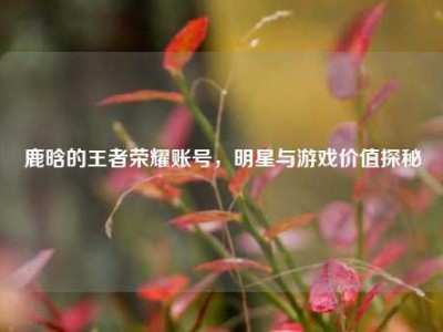 鹿晗的王者荣耀账号，明星与游戏价值探秘