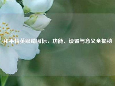 和平精英眼睛图标，功能、设置与意义全揭秘