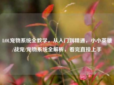 LOL宠物系统全教学，从入门到精通，小小英雄/战宠/宠物系统全解析，看完直接上手