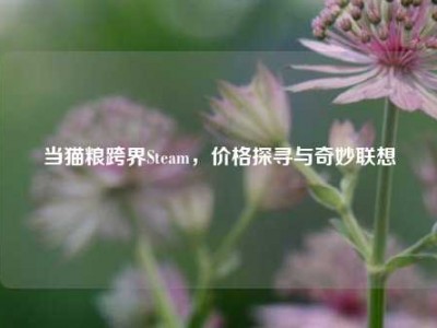 当猫粮跨界Steam，价格探寻与奇妙联想