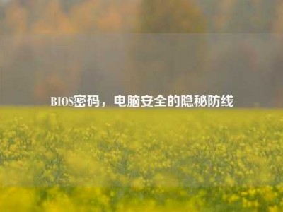 BIOS密码，电脑安全的隐秘防线