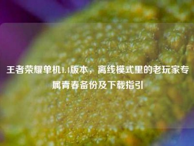 王者荣耀单机1.4版本，离线模式里的老玩家专属青春备份及下载指引