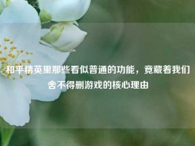 和平精英里那些看似普通的功能，竟藏着我们舍不得删游戏的核心理由