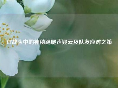 CF战队中的神秘踢腿声疑云及队友应对之策
