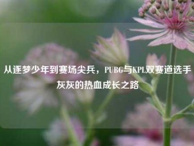 从逐梦少年到赛场尖兵，PUBG与KPL双赛道选手灰灰的热血成长之路