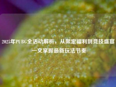 2025年PUBG全活动解析，从限定福利到竞技盛宴 一文掌握最新玩法节奏