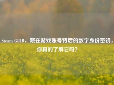 Steam GUID，藏在游戏账号背后的数字身份密钥，你真的了解它吗？