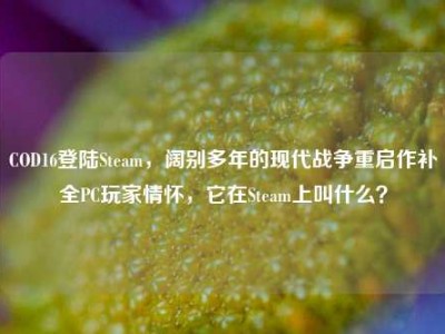 COD16登陆Steam，阔别多年的现代战争重启作补全PC玩家情怀，它在Steam上叫什么？