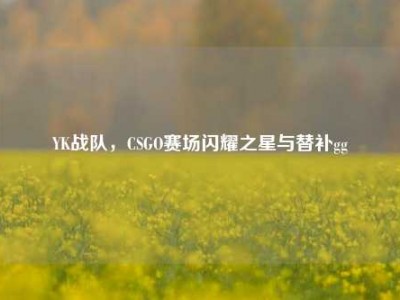 YK战队，CSGO赛场闪耀之星与替补gg