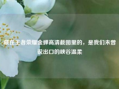 藏在王者荣耀金蝉高清截图里的，是我们未曾说出口的峡谷温柔