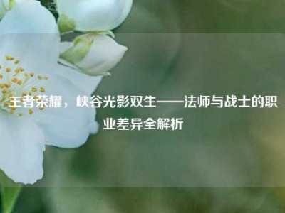 王者荣耀，峡谷光影双生——法师与战士的职业差异全解析