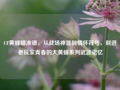 CF黄蜂瞄准镜，从战场神器到情怀符号，刻进老玩家青春的大黄蜂系列武器记忆