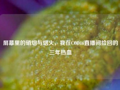 屏幕里的硝烟与烟火，我在COD16直播间捡回的三年热血