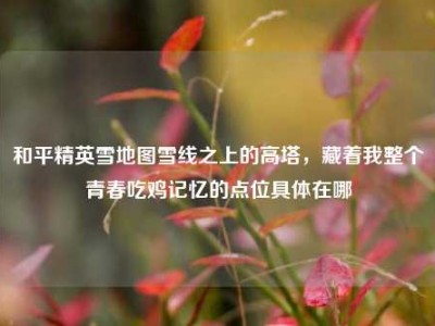 和平精英雪地图雪线之上的高塔，藏着我整个青春吃鸡记忆的点位具体在哪