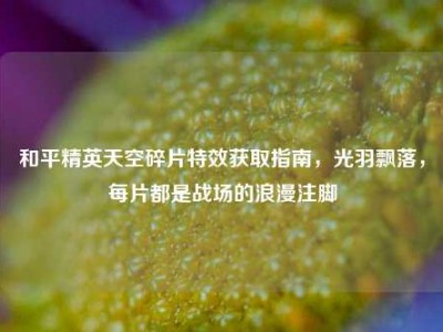 和平精英天空碎片特效获取指南，光羽飘落，每片都是战场的浪漫注脚