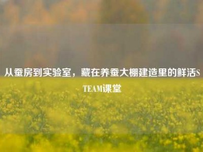 从蚕房到实验室，藏在养蚕大棚建造里的鲜活STEAM课堂