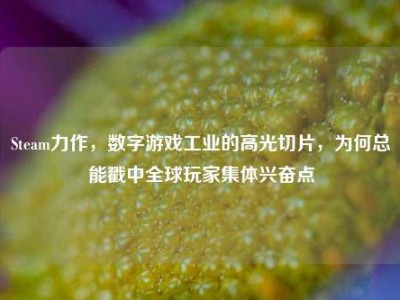 Steam力作，数字游戏工业的高光切片，为何总能戳中全球玩家集体兴奋点