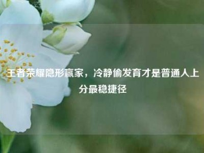 王者荣耀隐形赢家，冷静偷发育才是普通人上分最稳捷径