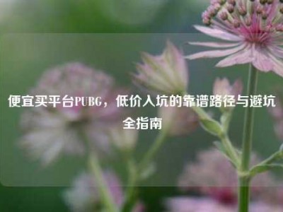 便宜买平台PUBG，低价入坑的靠谱路径与避坑全指南