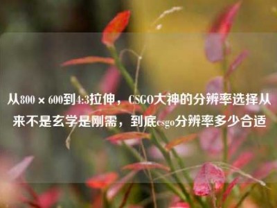 从800×600到4:3拉伸，CSGO大神的分辨率选择从来不是玄学是刚需，到底csgo分辨率多少合适