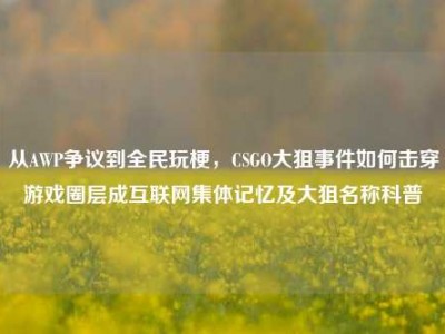 从AWP争议到全民玩梗，CSGO大狙事件如何击穿游戏圈层成互联网集体记忆及大狙名称科普