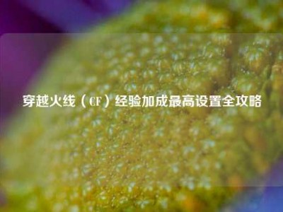 穿越火线（CF）经验加成最高设置全攻略