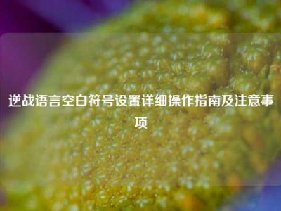 逆战语言空白符号设置详细操作指南及注意事项