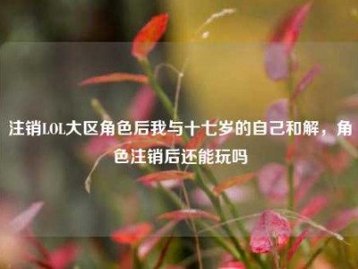 注销LOL大区角色后我与十七岁的自己和解，角色注销后还能玩吗