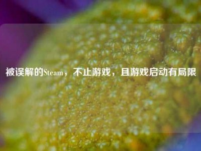被误解的Steam，不止游戏，且游戏启动有局限