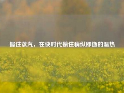 握住蒸汽，在快时代攥住稍纵即逝的温热