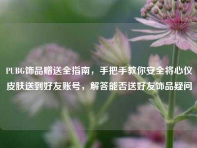 PUBG饰品赠送全指南，手把手教你安全将心仪皮肤送到好友账号，解答能否送好友饰品疑问