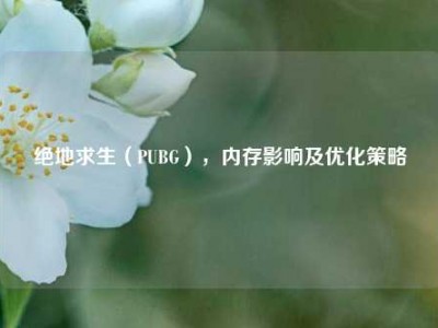 绝地求生（PUBG），内存影响及优化策略