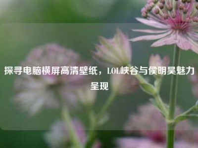 探寻电脑横屏高清壁纸，LOL峡谷与侯明昊魅力呈现
