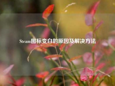 Steam图标变白的原因及解决方法