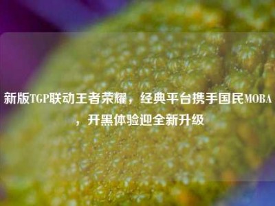 新版TGP联动王者荣耀，经典平台携手国民MOBA，开黑体验迎全新升级