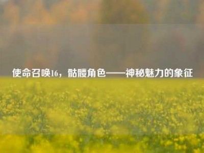 使命召唤16，骷髅角色——神秘魅力的象征