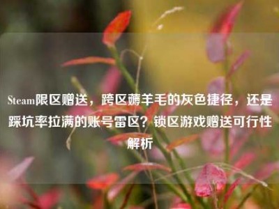 Steam限区赠送，跨区薅羊毛的灰色捷径，还是踩坑率拉满的账号雷区？锁区游戏赠送可行性解析