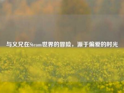 与义兄在Steam世界的冒险，源于偏爱的时光