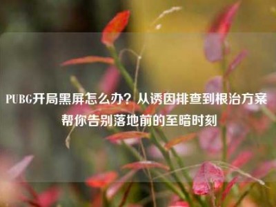 PUBG开局黑屏怎么办？从诱因排查到根治方案 帮你告别落地前的至暗时刻
