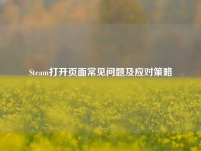 Steam打开页面常见问题及应对策略