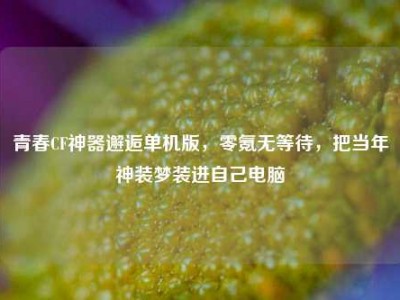 青春CF神器邂逅单机版，零氪无等待，把当年神装梦装进自己电脑