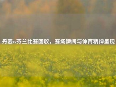 丹麦vs芬兰比赛回放，赛场瞬间与体育精神呈现