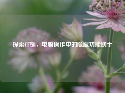 探索CF键，电脑操作中的隐藏功能助手