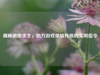 揭秘绝地求生，助力游戏体验升级的实用指令