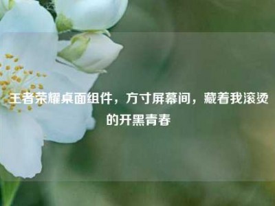 王者荣耀桌面组件，方寸屏幕间，藏着我滚烫的开黑青春