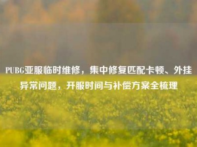 PUBG亚服临时维修，集中修复匹配卡顿、外挂异常问题，开服时间与补偿方案全梳理