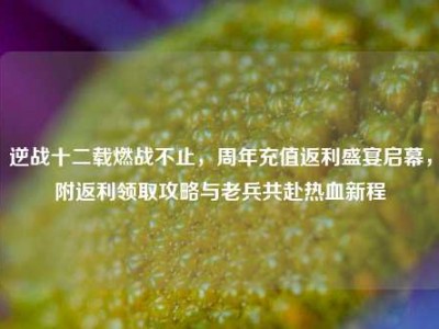 逆战十二载燃战不止，周年充值返利盛宴启幕，附返利领取攻略与老兵共赴热血新程
