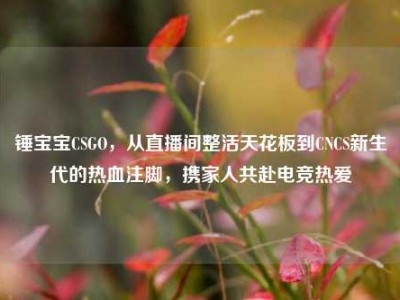 锤宝宝CSGO，从直播间整活天花板到CNCS新生代的热血注脚，携家人共赴电竞热爱